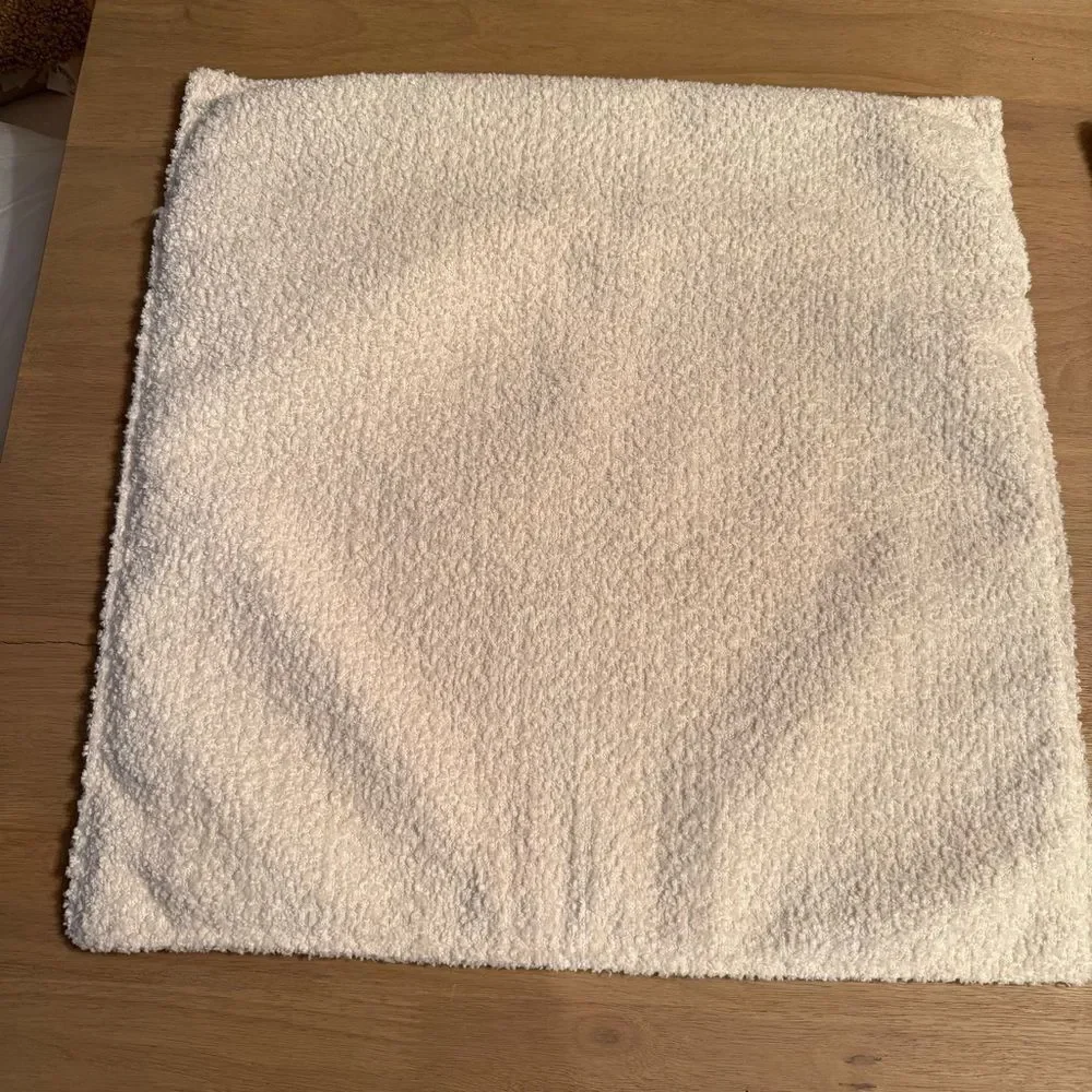 Set of 2 Cream Throw Pillows 20x20